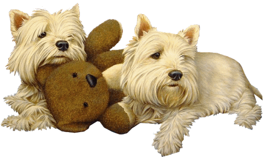 Image du Blog pouletroti.centerblog.net